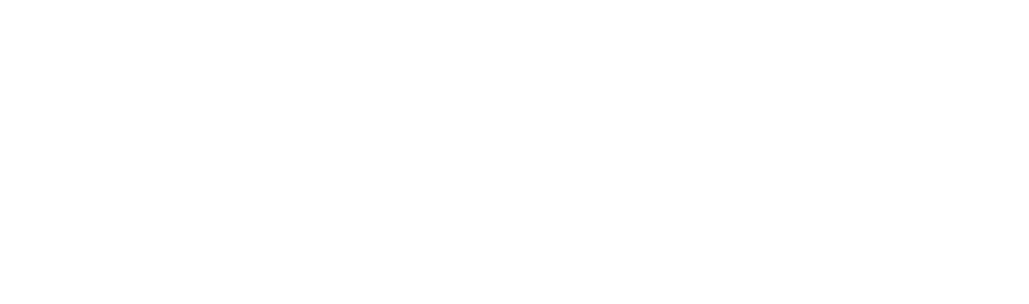 Logo da Pasquali Solution